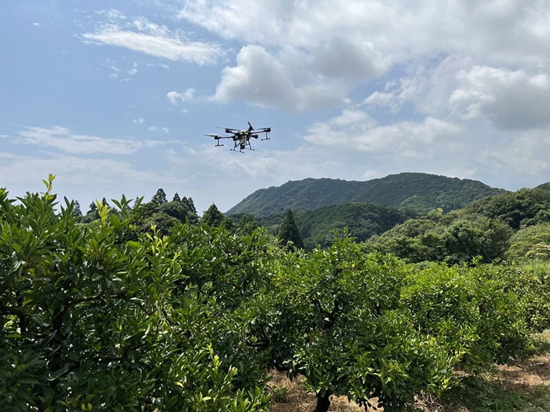 みかん園